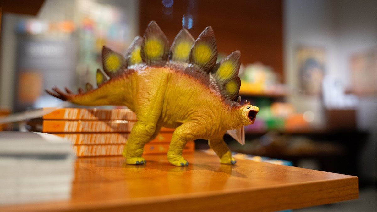 Marvelous Museums in Lake County